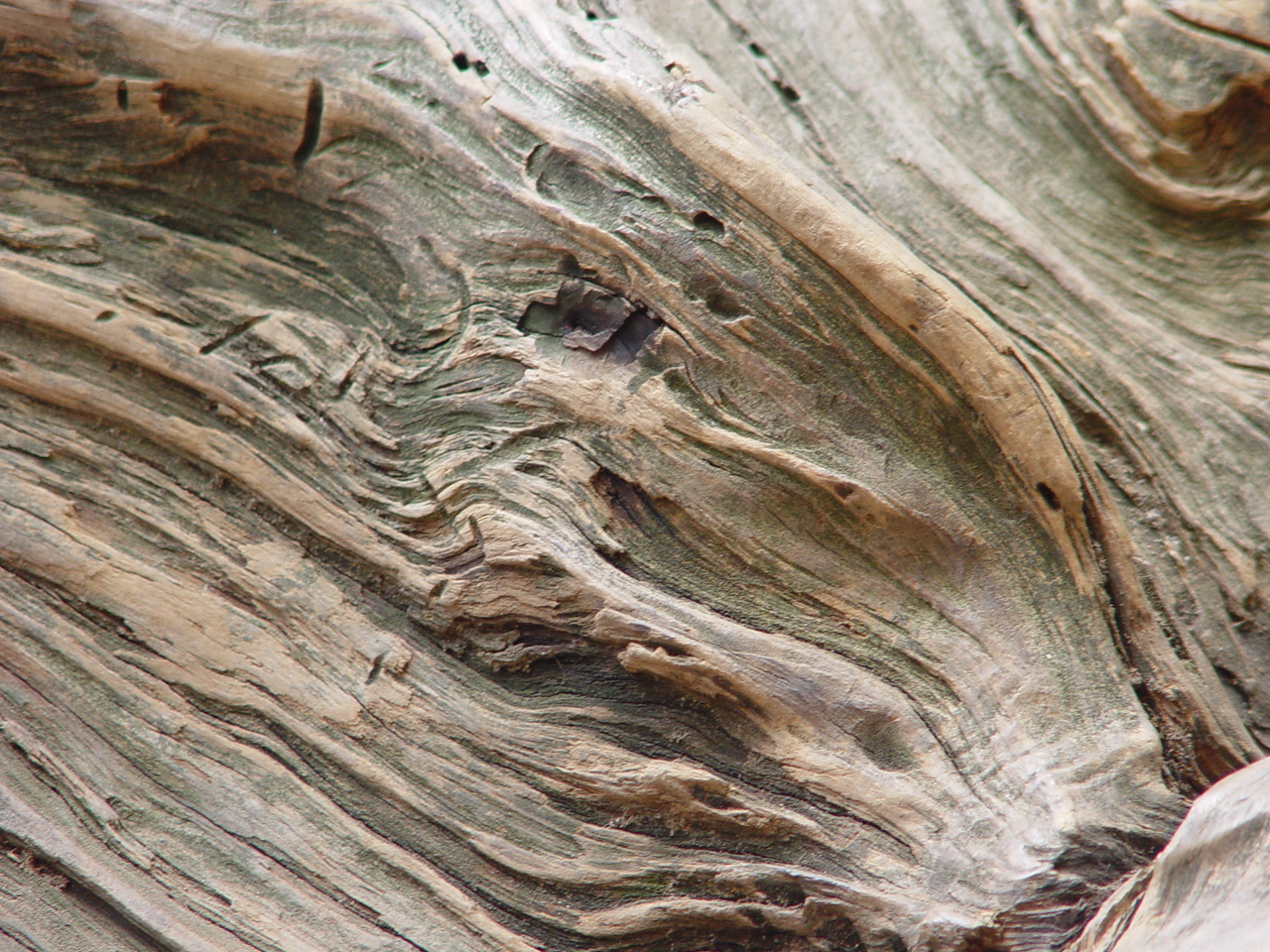 Wood Texture 2