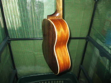 Tenor Uke 11