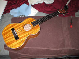 Tenor Uke 12