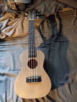Uke3 08