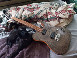 CurlyTele 14