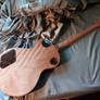 Walnut LP 12