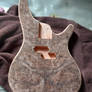 Walnut P 05