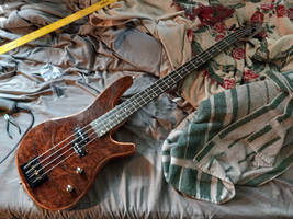 Walnut P 08