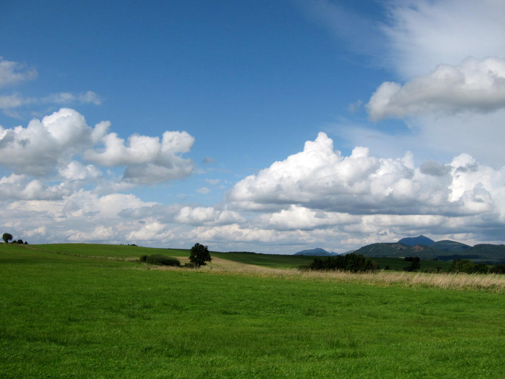 Dancin' landscape