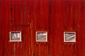 3 windows and a door