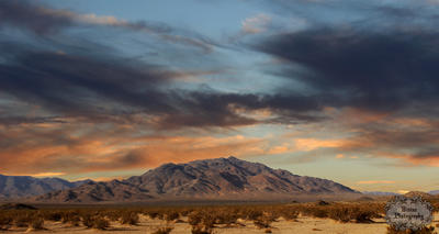 Desert Dusk