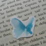 Little blue butterfly