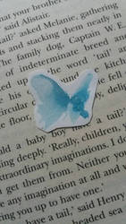 Little blue butterfly