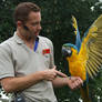 .Macaw wings 2. 1109