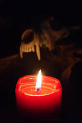 By candle light