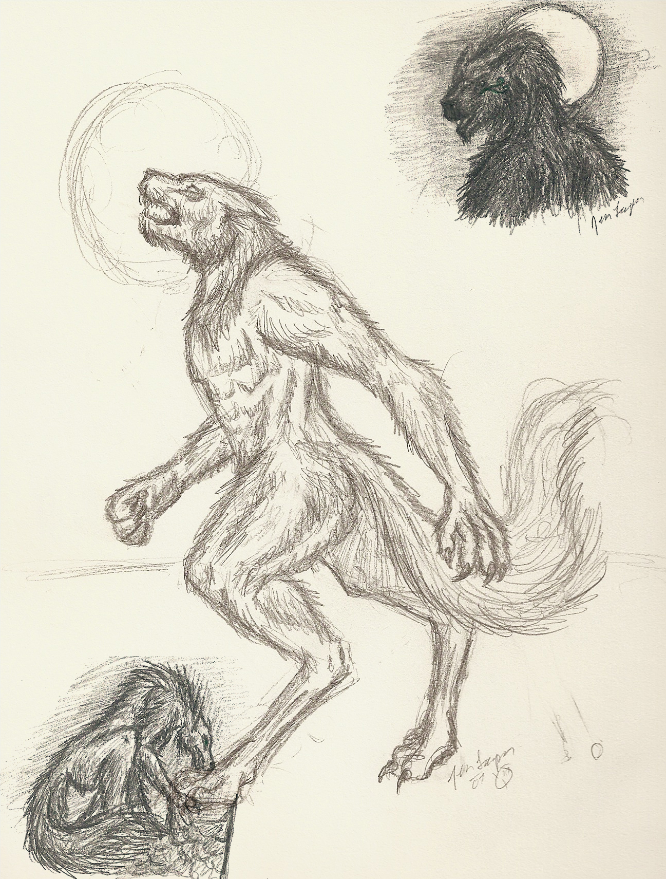 Werewolves