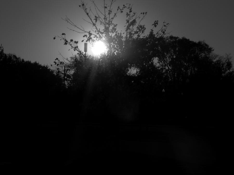 Cold Sun by SakamotoxSaitou on DeviantArt