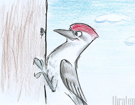 Woodpecker Thaumatrope [GIF]