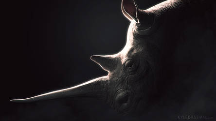 Rhino