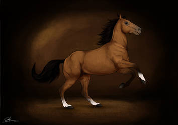 Commission: Grumpy Horse