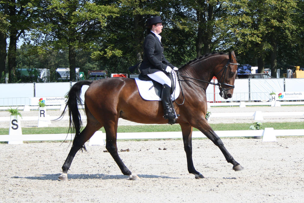 Outdoor Brabant Stock 33