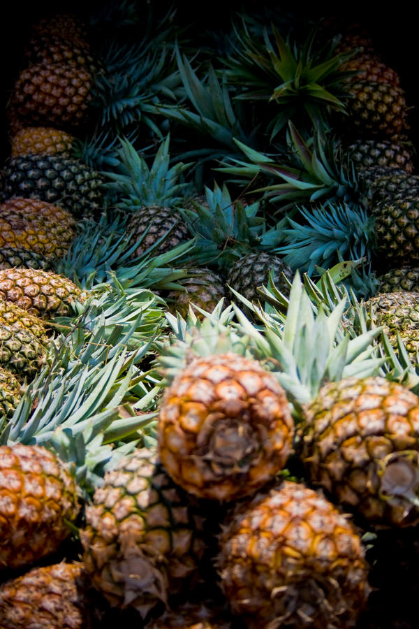 Pineapples 2