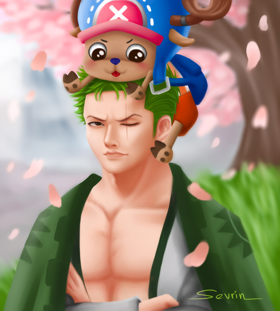 zoro chopper  Zoro, Roronoa zoro, One piece