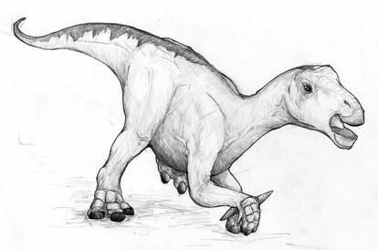 Iguanodon - a little more recent (4)