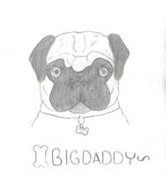 bigdaddy