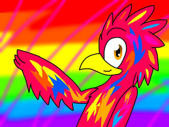 Jack the rainbow bird