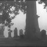 Foggy Cemetery 3