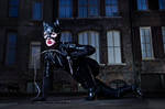Catwoman Prowls by nikongriffin