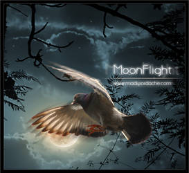 MoonFlight: PS Tutorial