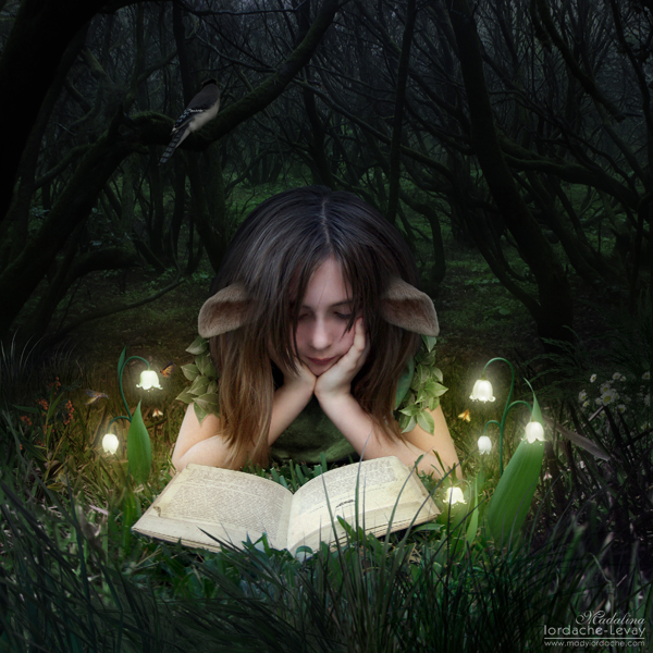A Fairy Tale