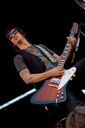 All-American Rejects, VWT 2010