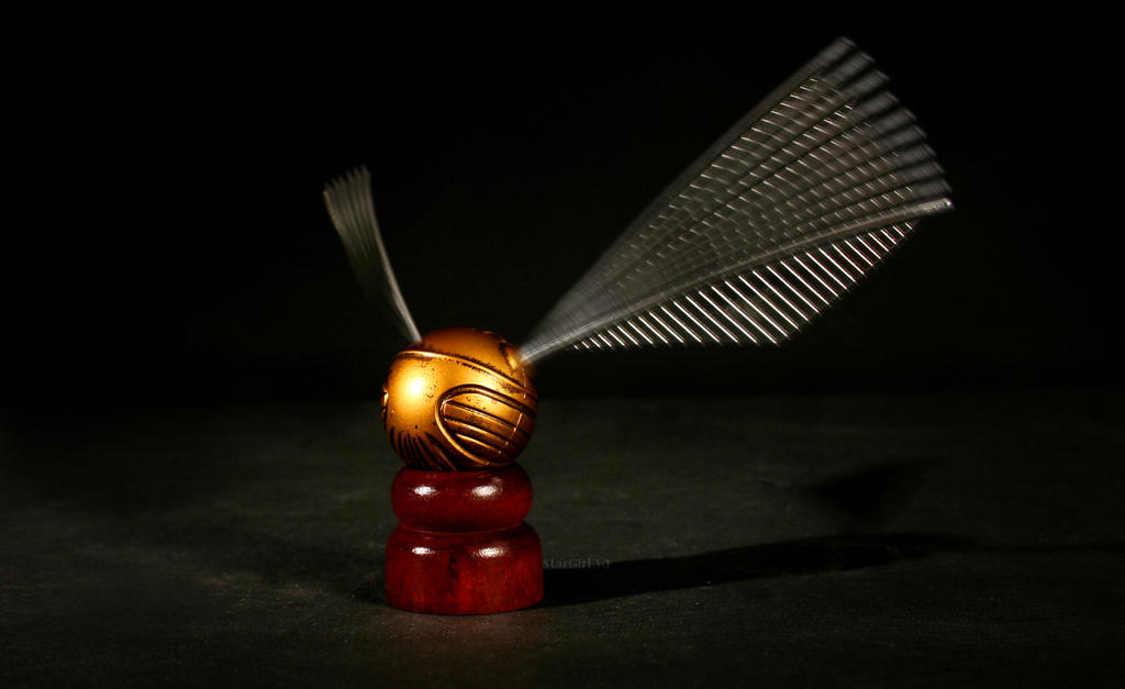 The Golden Snitch