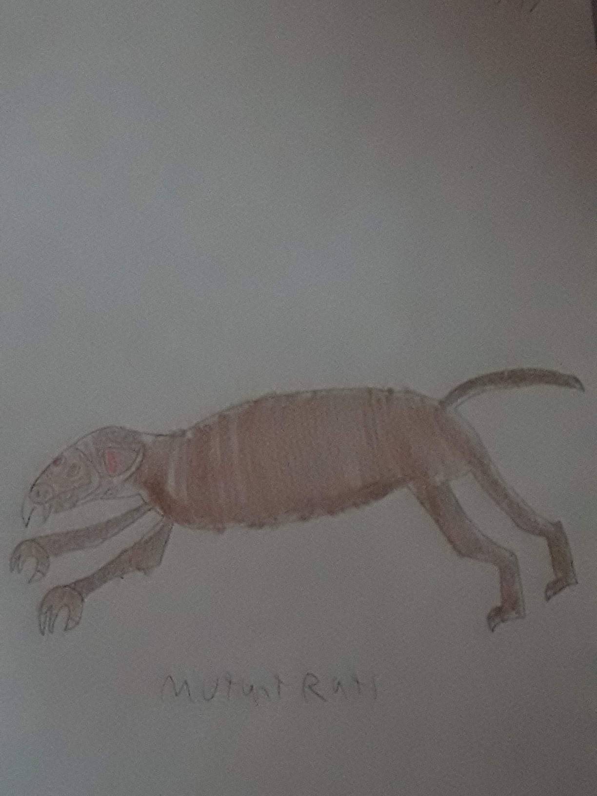 Mutant Rats by pyrus125680 on DeviantArt