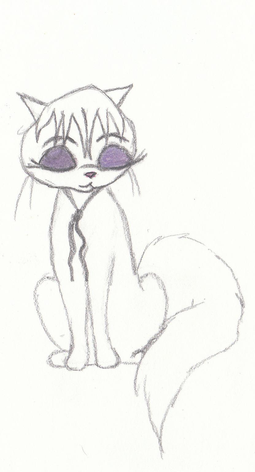 Meowsette Mewsette by momodory09 on DeviantArt