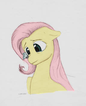 - Fluttershy -