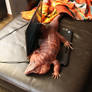 Biggie (red tegu) warming up