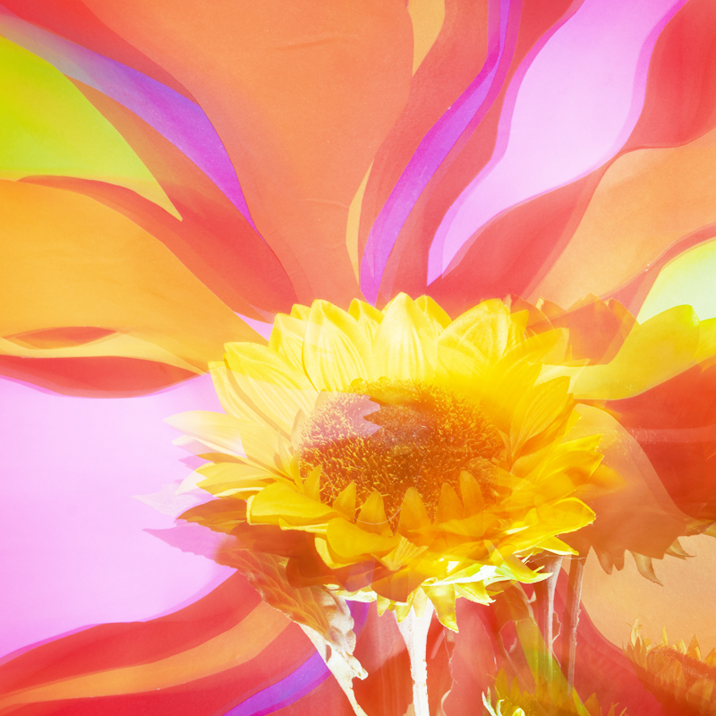 psychedelic flowers #05