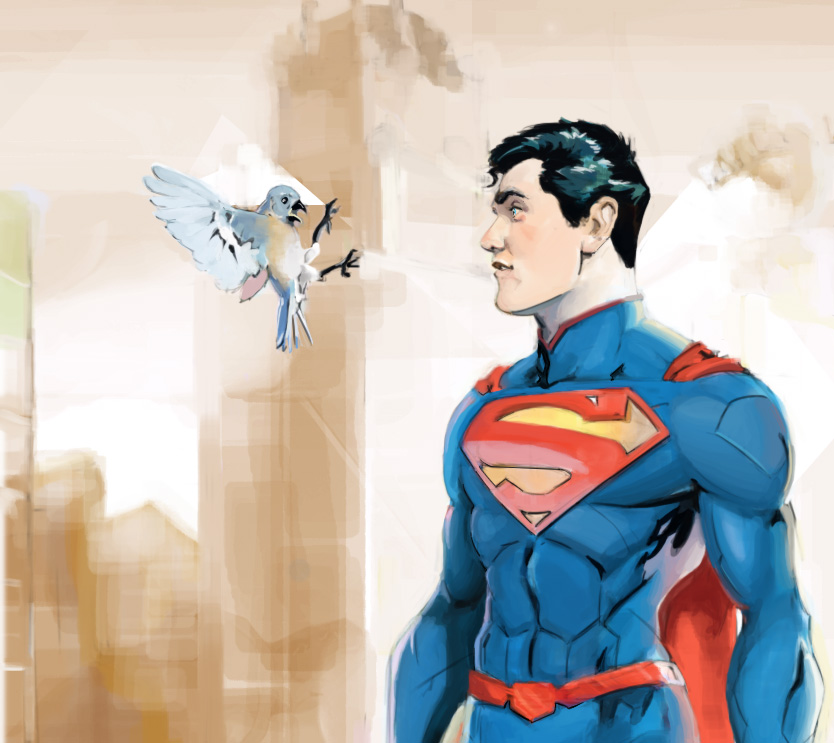 Superman vs Bird