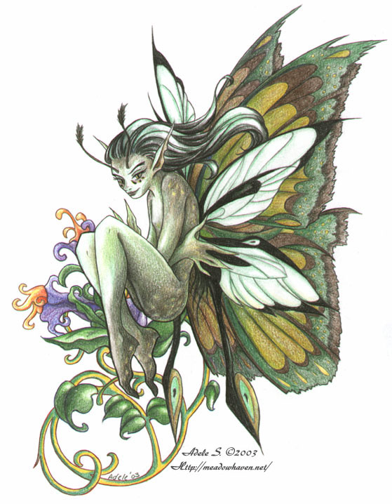 Moth Fae