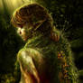 Glance