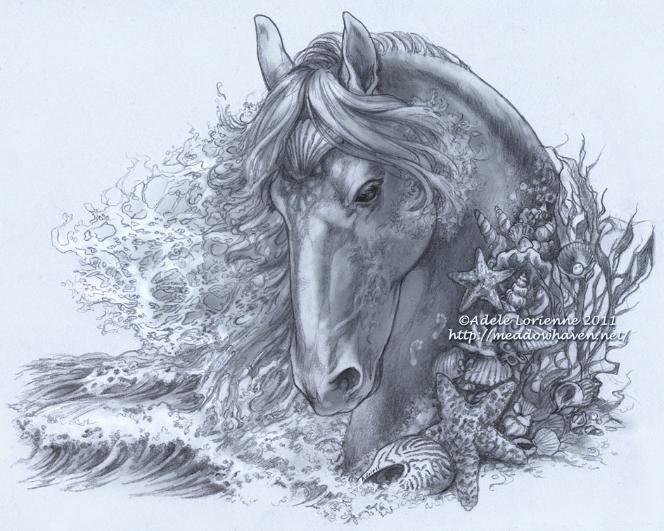 Seahorse by Saimain