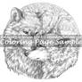 Wolf Cuddle -Grayscale Coloring Page-