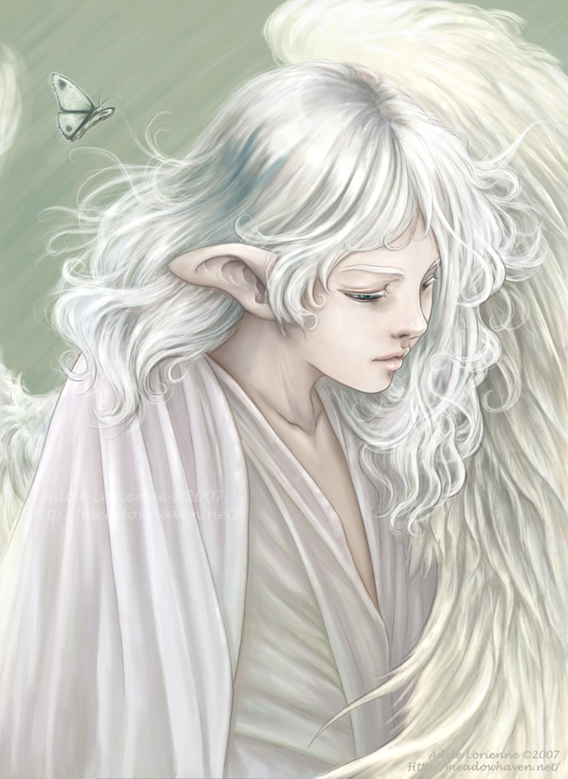 Little Wings