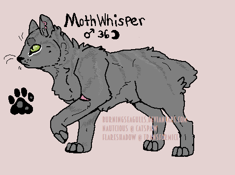 Mothwhisper Reference (oops)