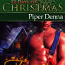 A Fireman for Christmas Cover