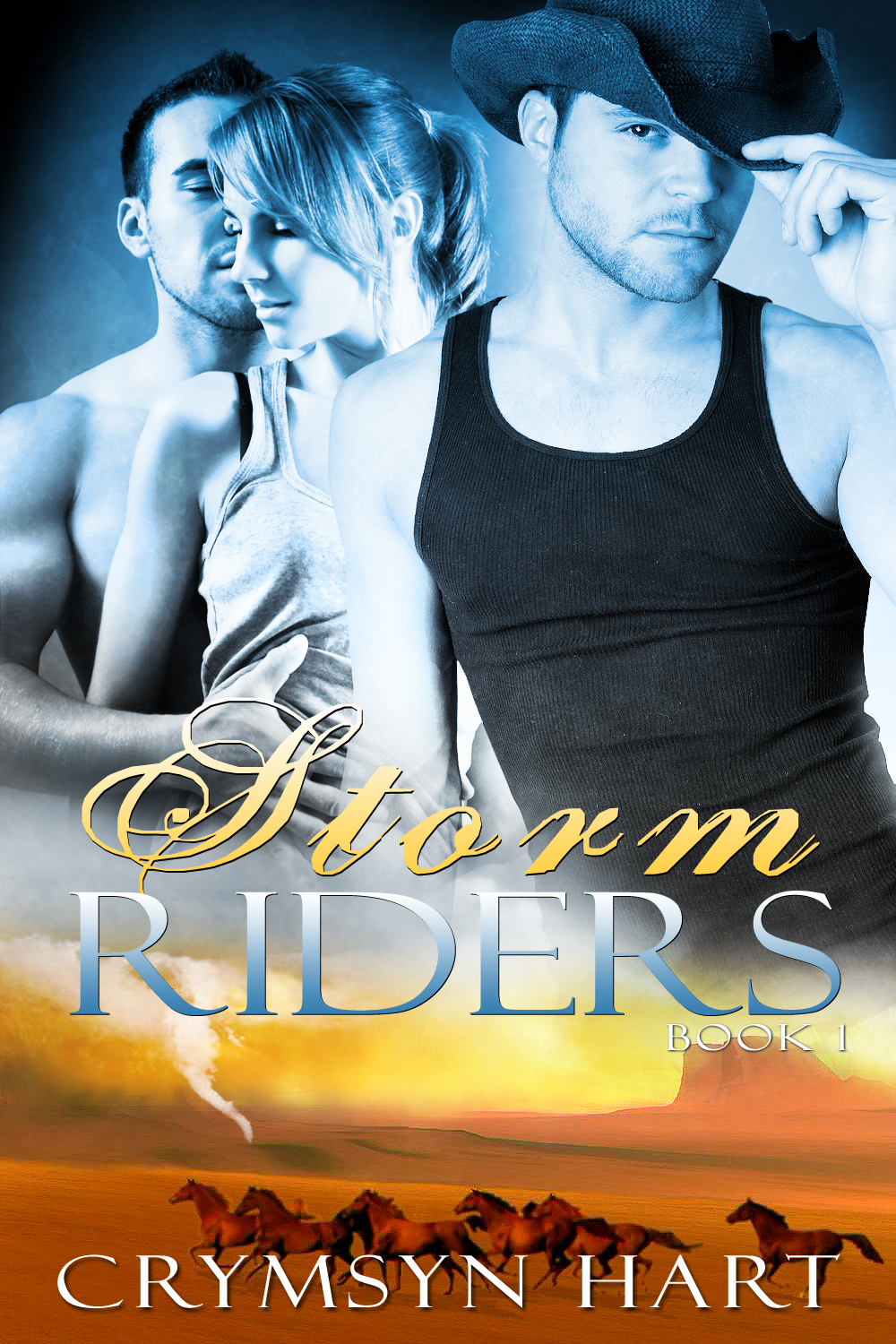 Storm Riders Cover Art