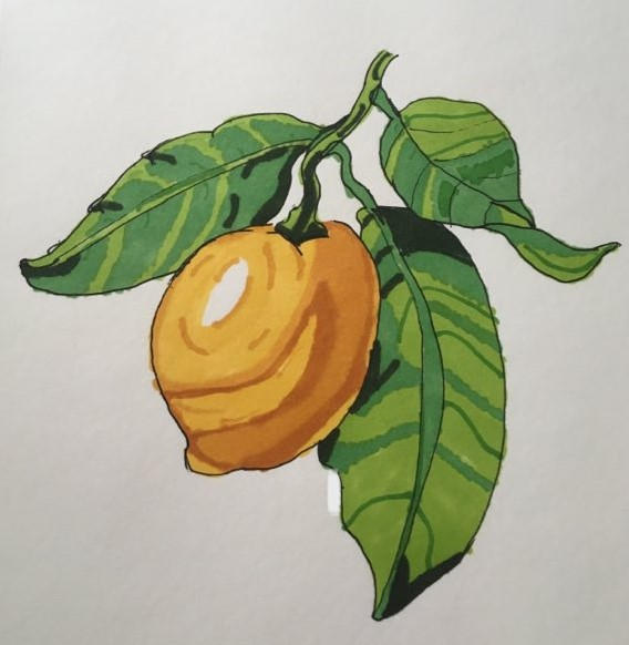 Lemon Yellow Deviantart Lemon by AraylaRosiana on DeviantArt