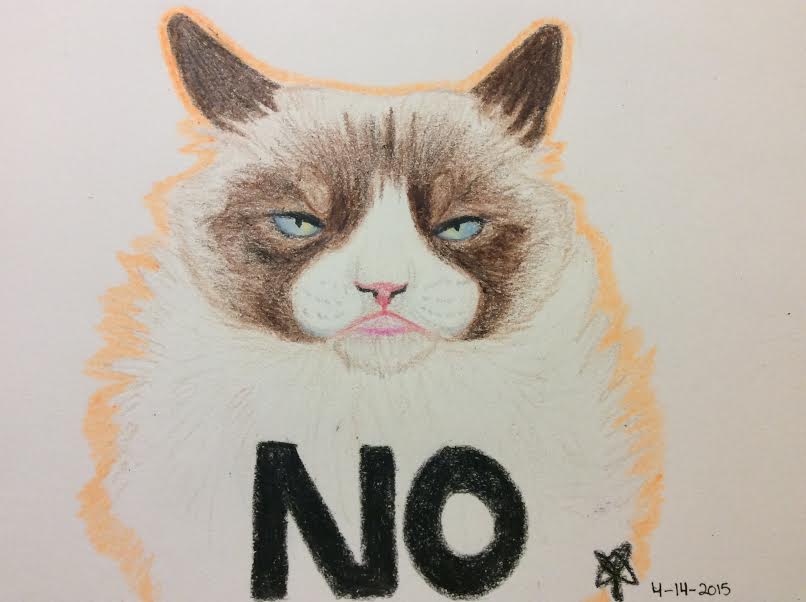 Crayon Drawing 3-Grumpy Cat