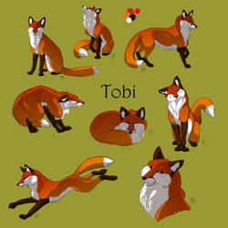 Hoard ARPG-Tobi