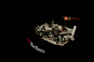 marlboro